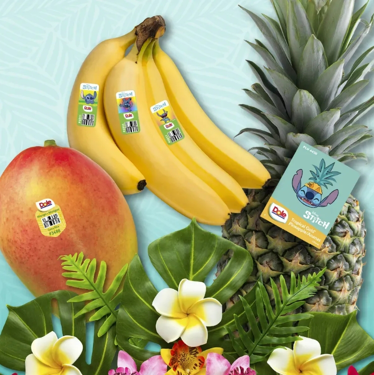 蘇州建技,JAGPACK 蘇州建技,JAGPACK