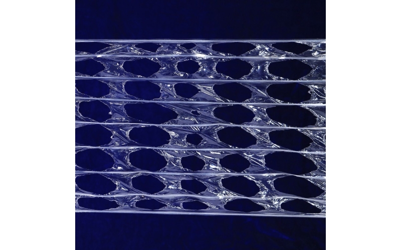 驚險！水果商特立獨行換包裝，臺風(fēng)中躲過一劫